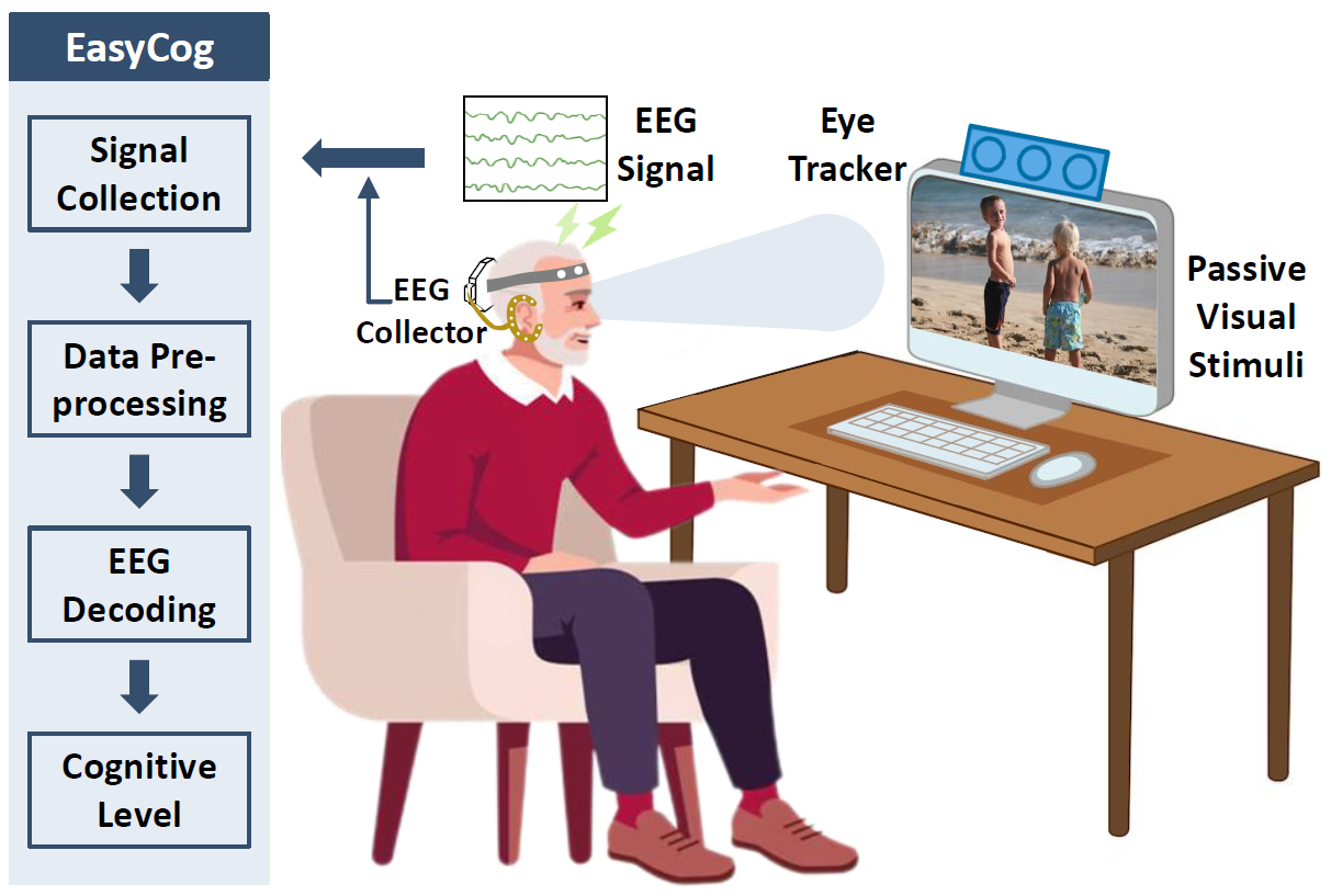 The EasyCog Dataset: Towards Easier Cognitive Assessment with Passive Video Watching preview