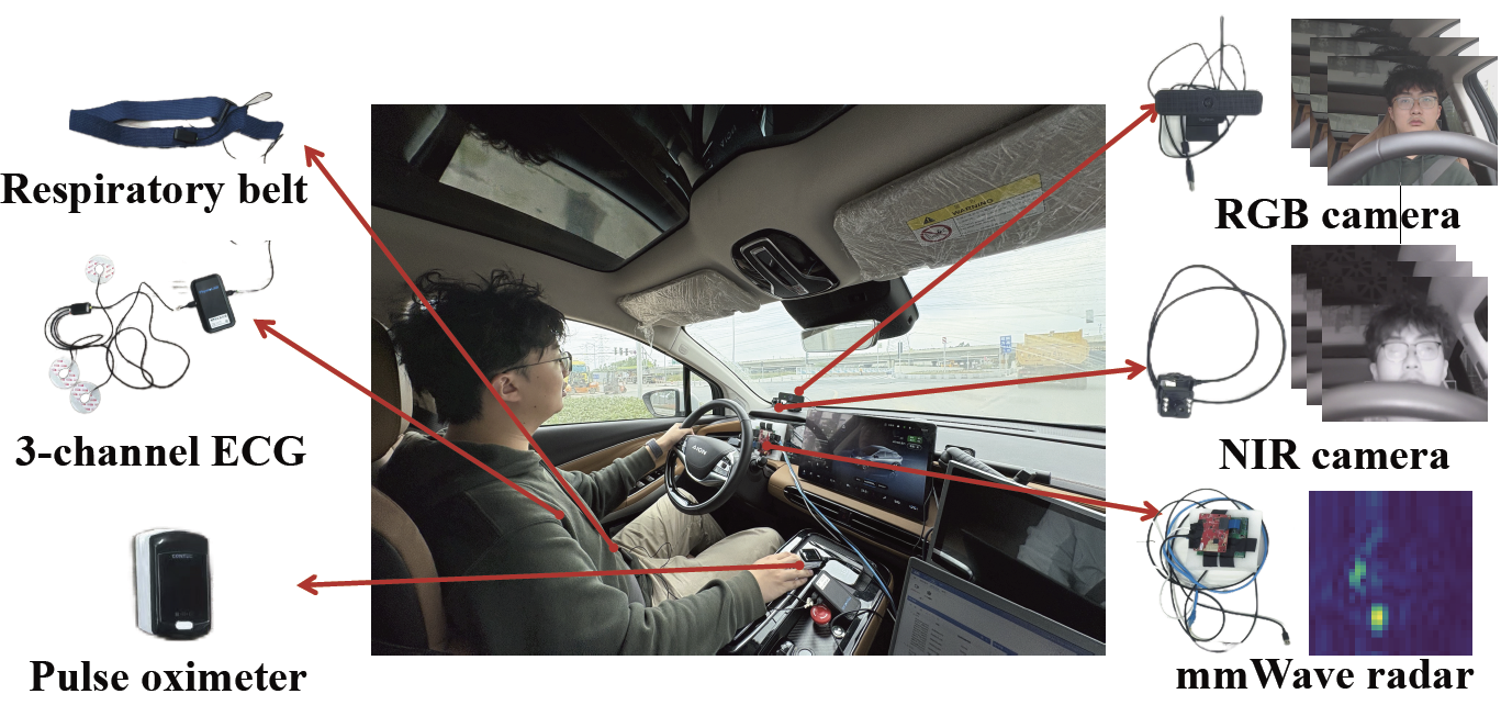 PhysDrive: A Multimodal Remote Physiological Measurement Dataset for In-vehicle Driver Monitoring preview